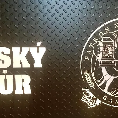 Guest house Cesky Dvur *